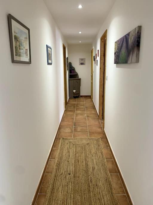 Appartement Bas De Maison Lavilledieu  Bagian luar foto